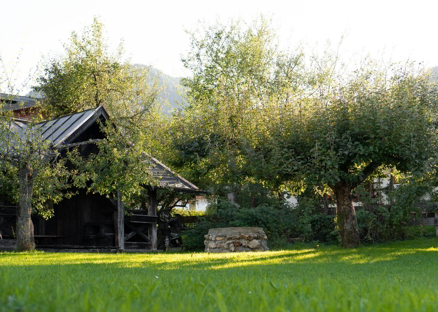 crystls sommerCRYSTLS SOMMERSW_04211_F_2388